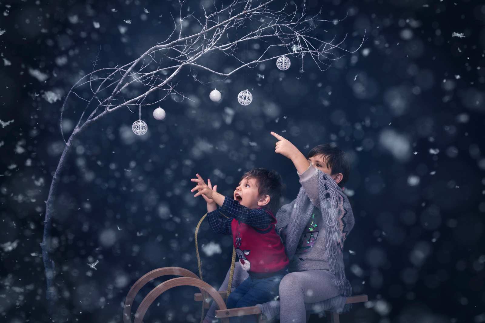 Sesiune foto Craciun Mihai si Tudor 0054 copy